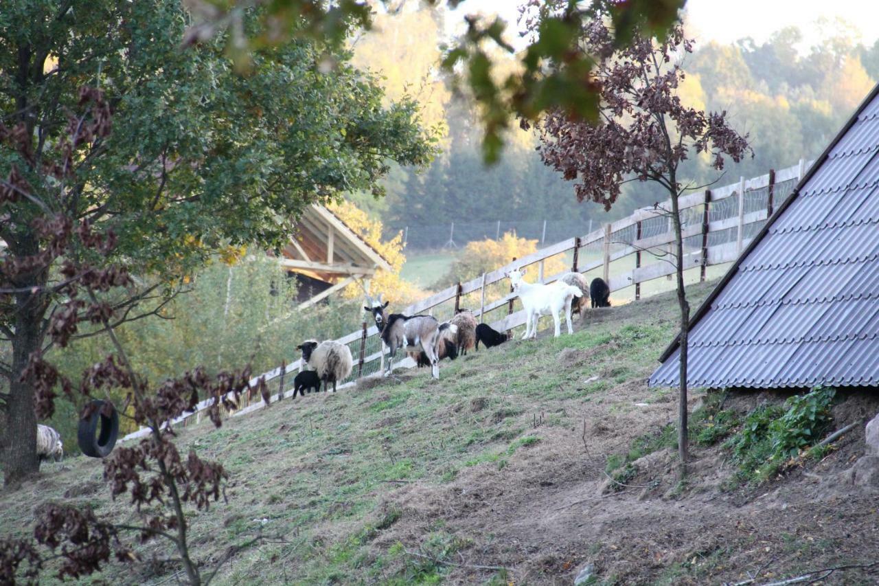 Siedlisko Gizewo Villa Luaran gambar